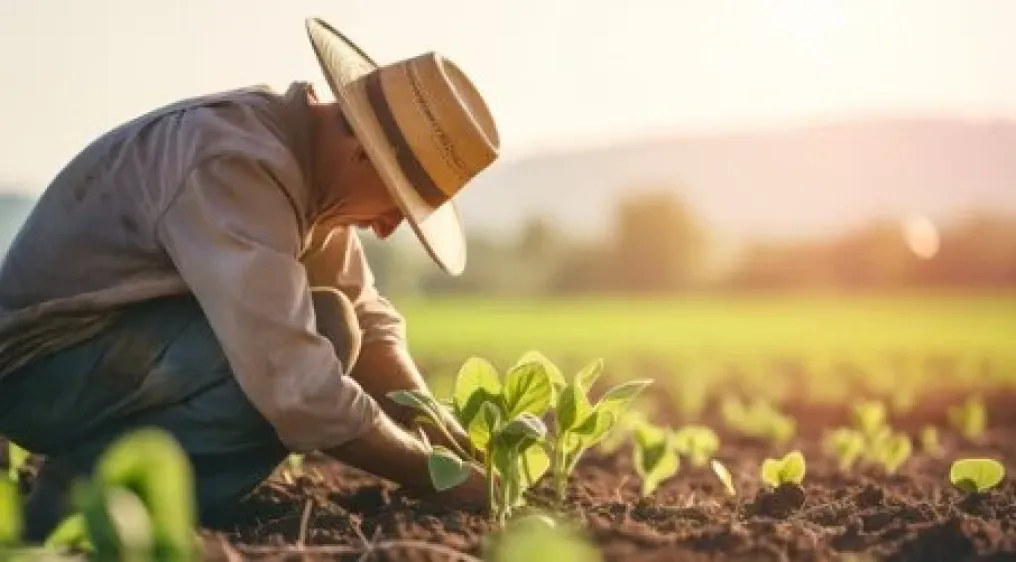 ESTRAT&Eacute;GIAS DE OOH NO AGRO PARA FORTALECER MARCAS E GERAR IMPACTO