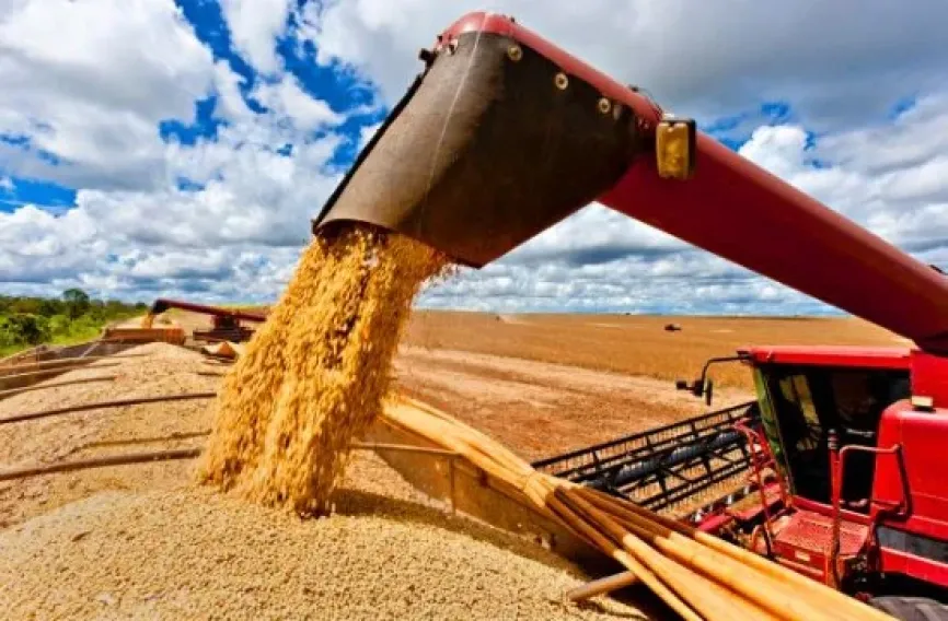   A IMPORT&Acirc;NCIA DA SEGMENTA&Ccedil;&Atilde;O DO P&Uacute;BLICO AGRO POR MEIO DA M&Iacute;DIA OOH