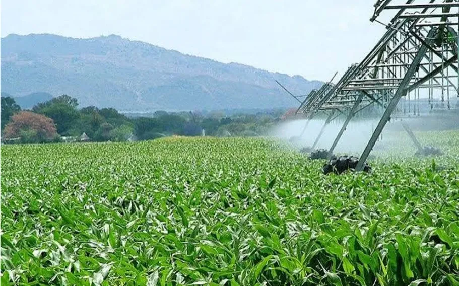 O CRESCIMENTO DO AGRONEG&Oacute;CIO IMPULSIONA NOVAS OPORTUNIDADES PARA CAMPANHAS NO TOCANTINS